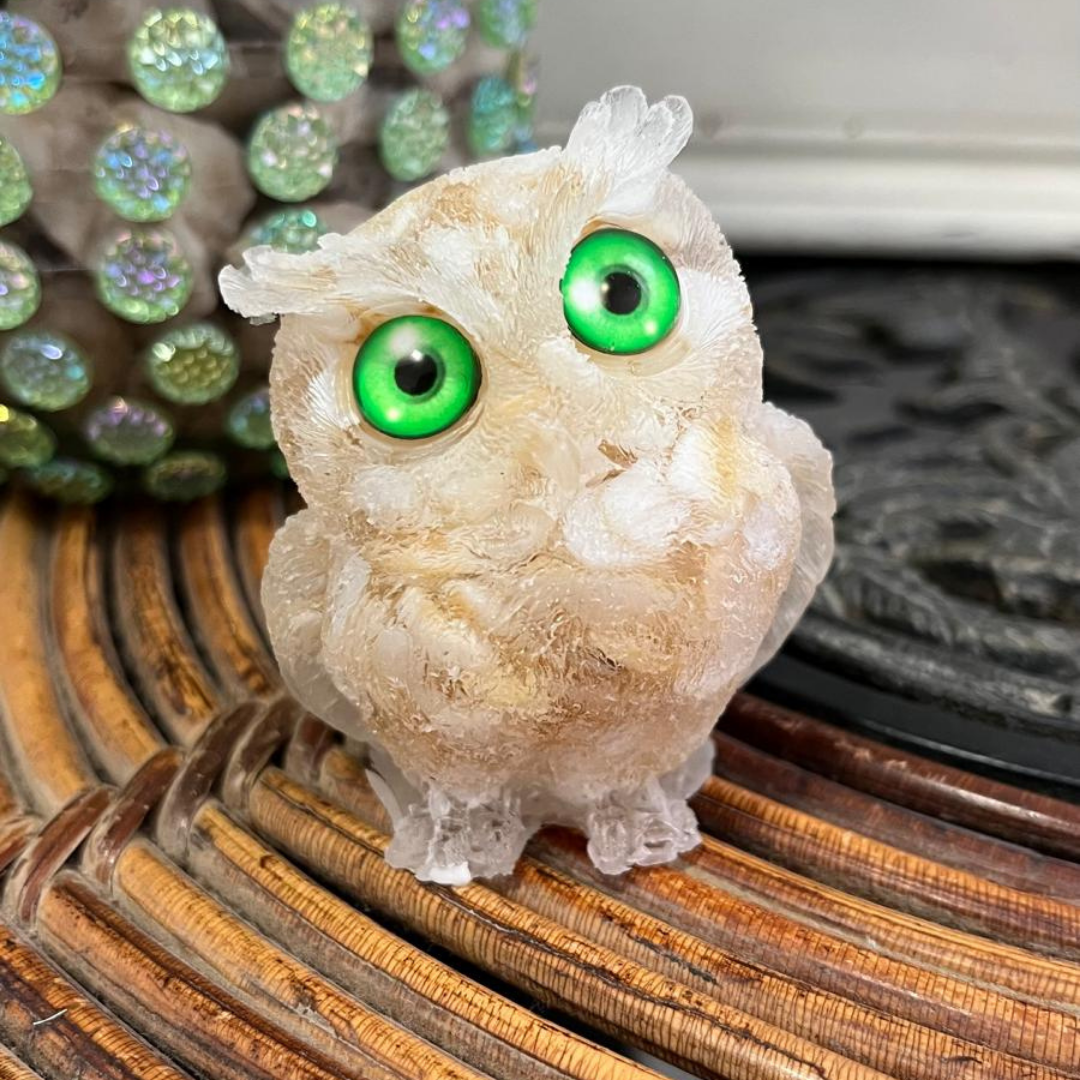 Búho Nacarado (Nácar)