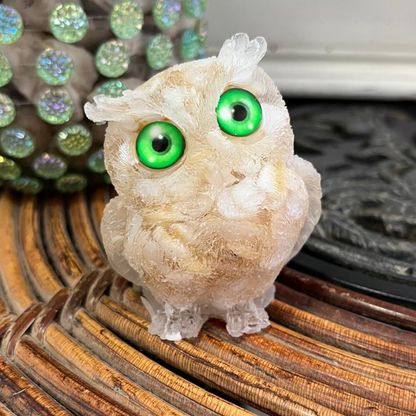 Búho Nacarado (Nácar)