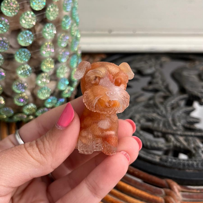 Perro Energía (Ágata naranja)