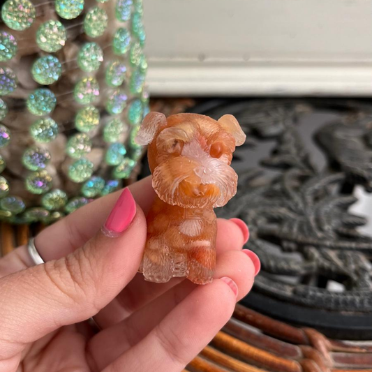 Perro Energía (Ágata naranja)