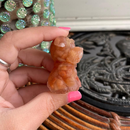 Perro Energía (Ágata naranja)