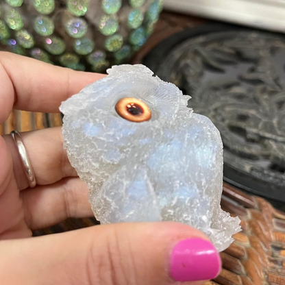 Búho Luz de Luna (Desperfecto en Pico)