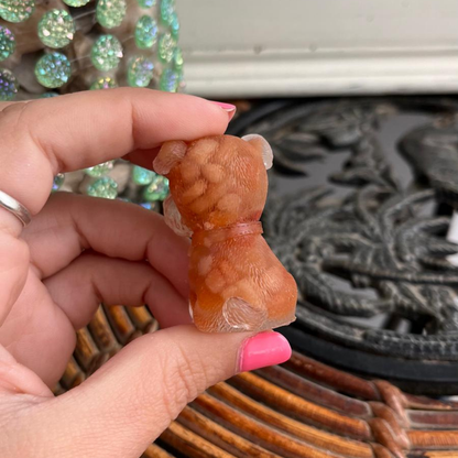 Perro Energía (Ágata naranja)