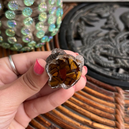 Perro Protección (Ojo Tigre)