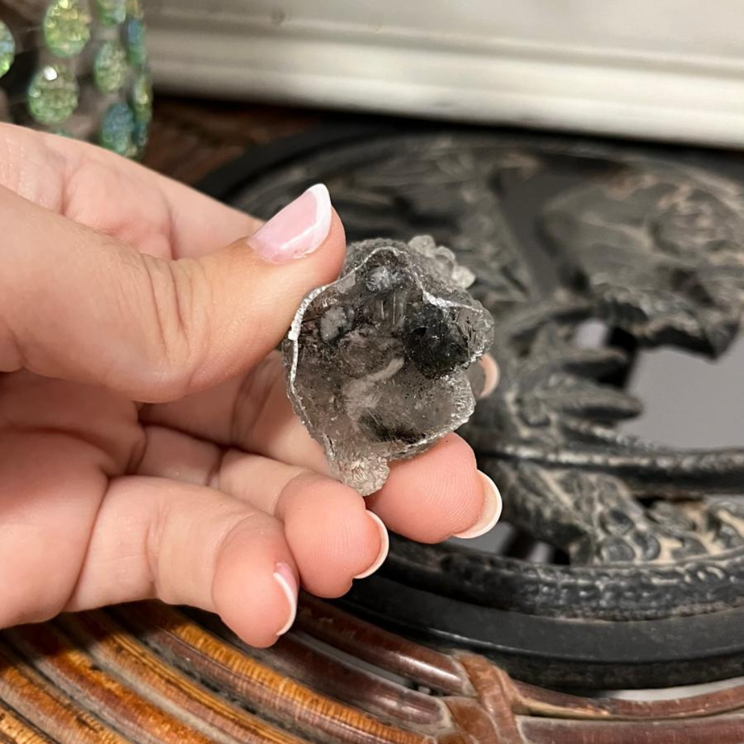 Perro Lunar (Cuarzo Negro Punteado)