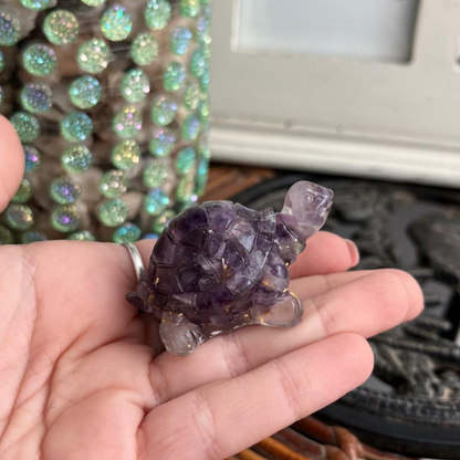 Tortuga Calma (Amatista)