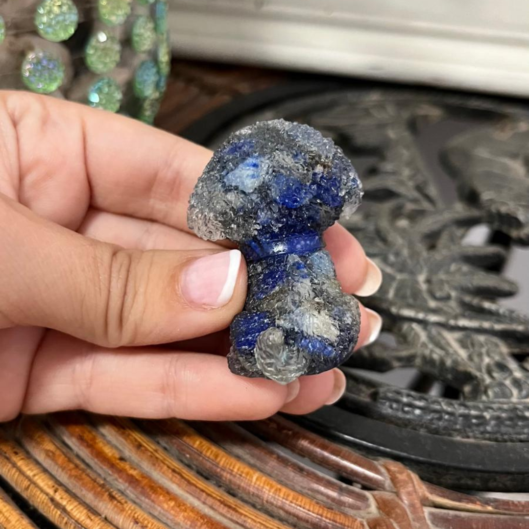 Perro del Conocimiento (Lapislázuli)