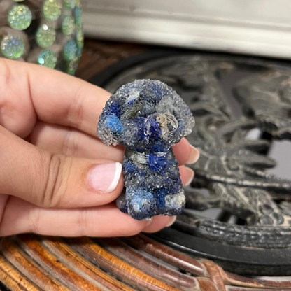 Perro del Conocimiento (Lapislázuli)