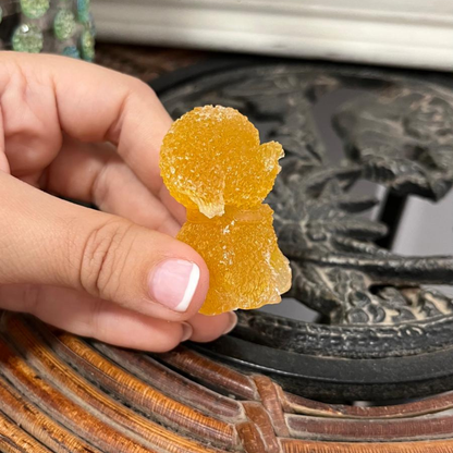 Perro del Éxito (Citrino)