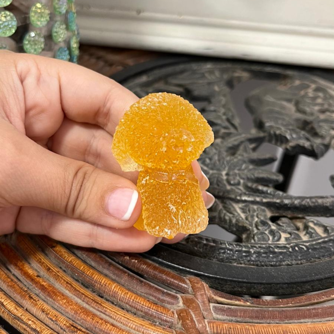 Perro del Éxito (Citrino)