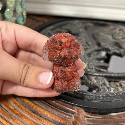 Perro Fuerza (Jaspe Rojo)