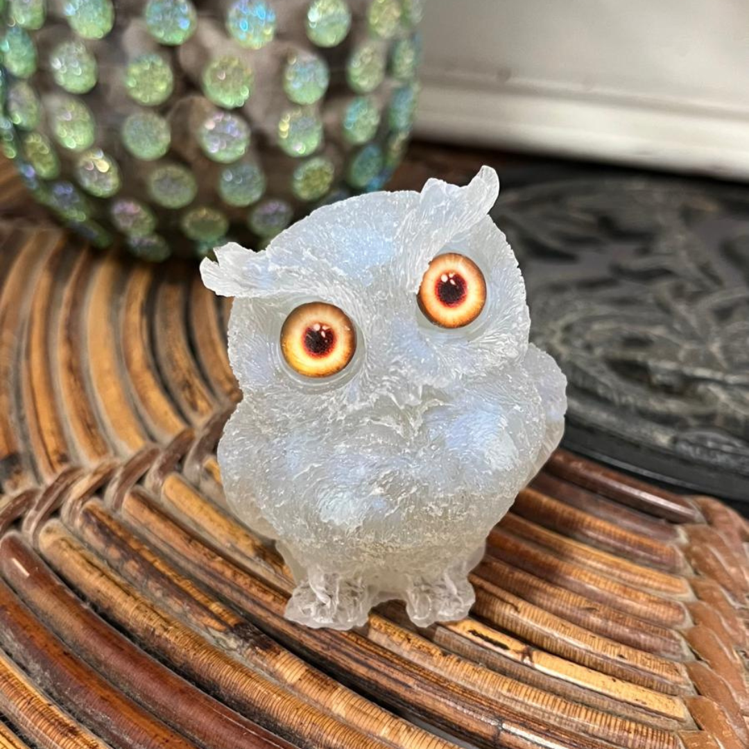 Búho Luz de Luna (Desperfecto en Pico)